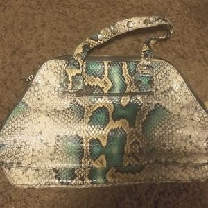 Hammitt python bag